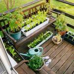 Vego Garden
