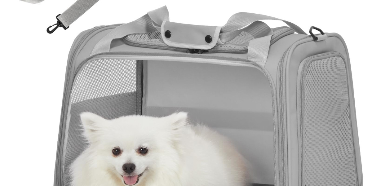 Stylish and Convenient Ways to Travel with Your Pet in the UK