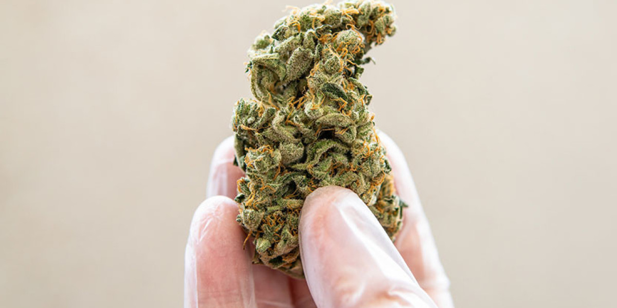 Convenience Meets Power: The Future of On-the-Go Cannabis Consumption