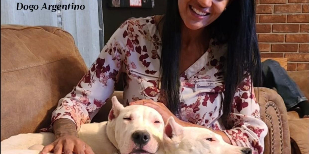 Which Dog Trainer Services Serve Suwanee & Duluth?