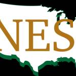 nesbuilding solutions